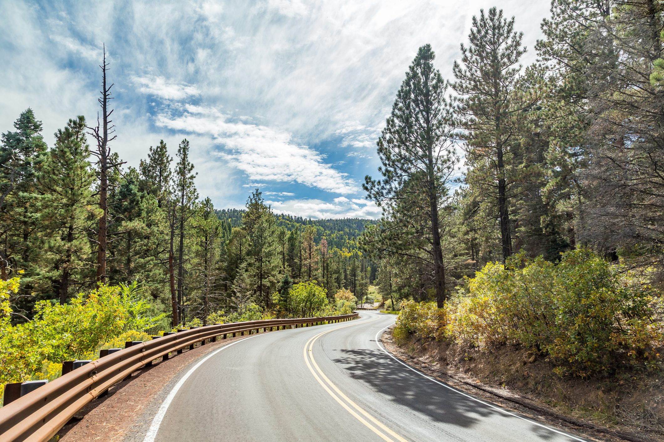 A winding asphalt road curves through a dense forest of tall pine trees under a partly cloudy blue sky.
