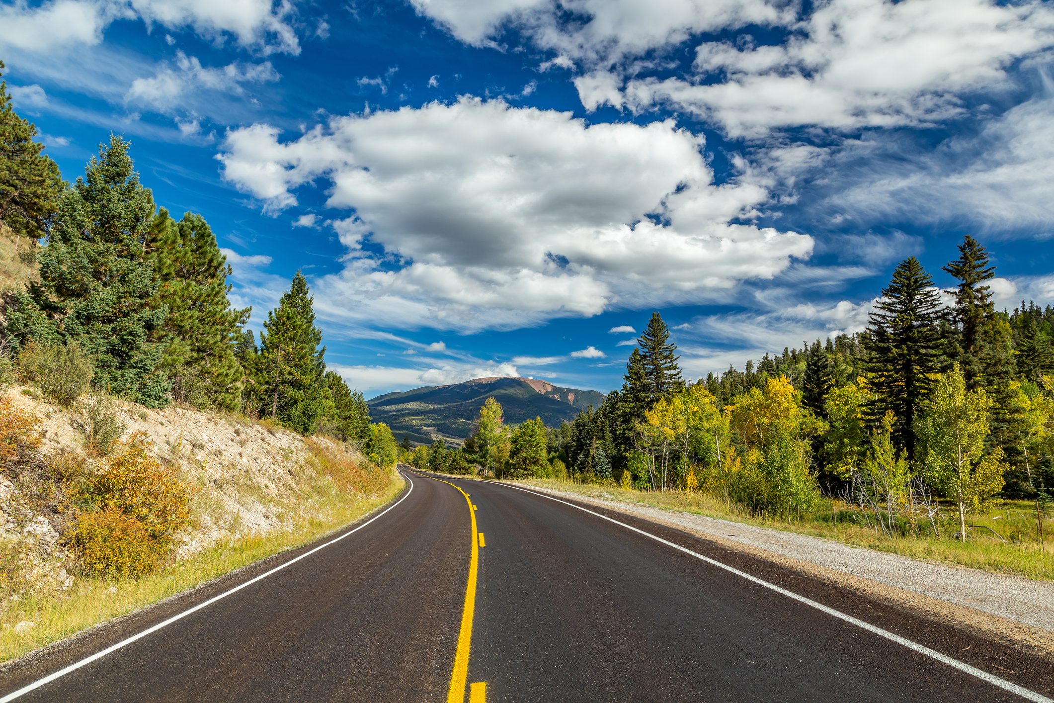 A winding road curves through forested hills under a bright sky, bordered by lush trees and soft clouds, leading toward distant mountains.