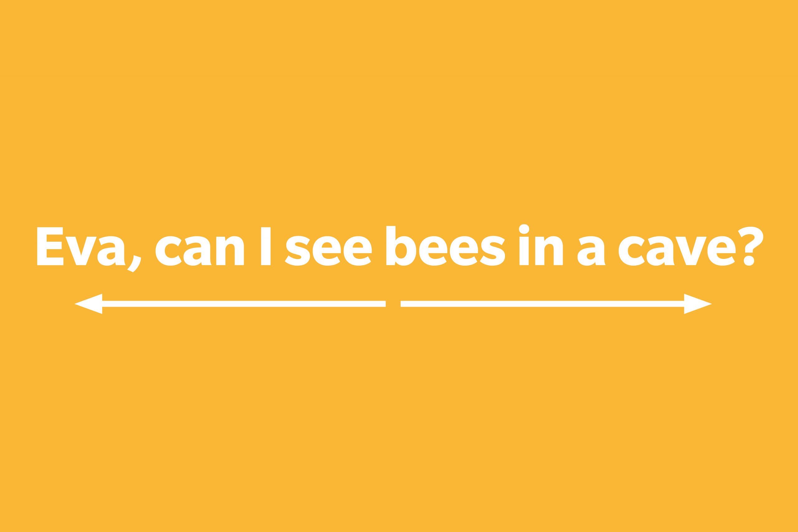 Eva, can I see bees in a cave?