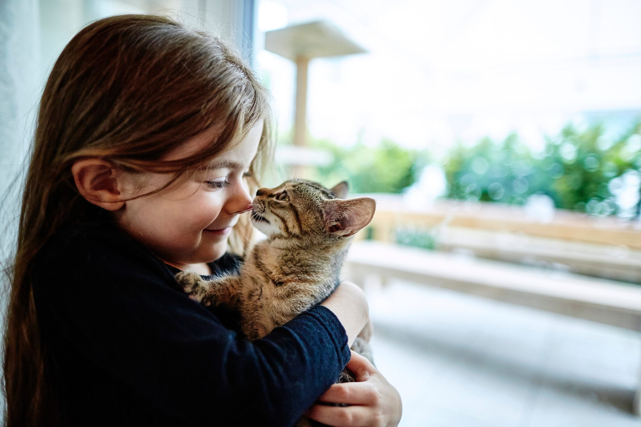 Cute girl holding kitten at the window
