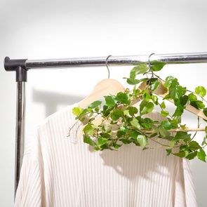 Hanger holds white shirt and green vine, hanging on a metal rack against a plain background.