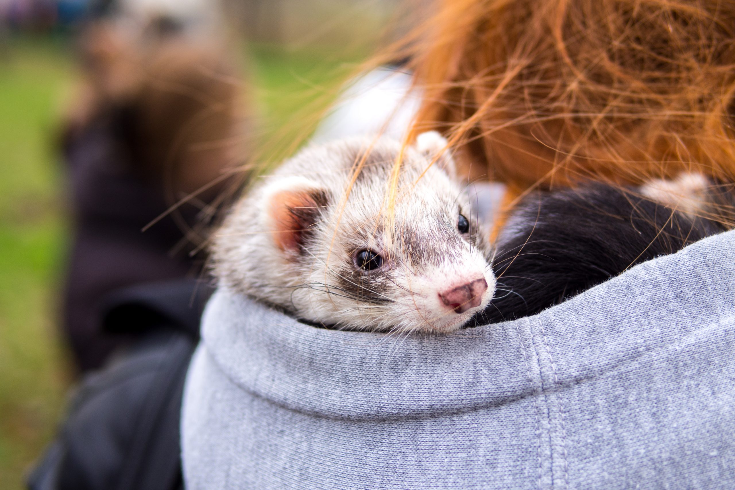 Photo by: Дмитрий Павлов