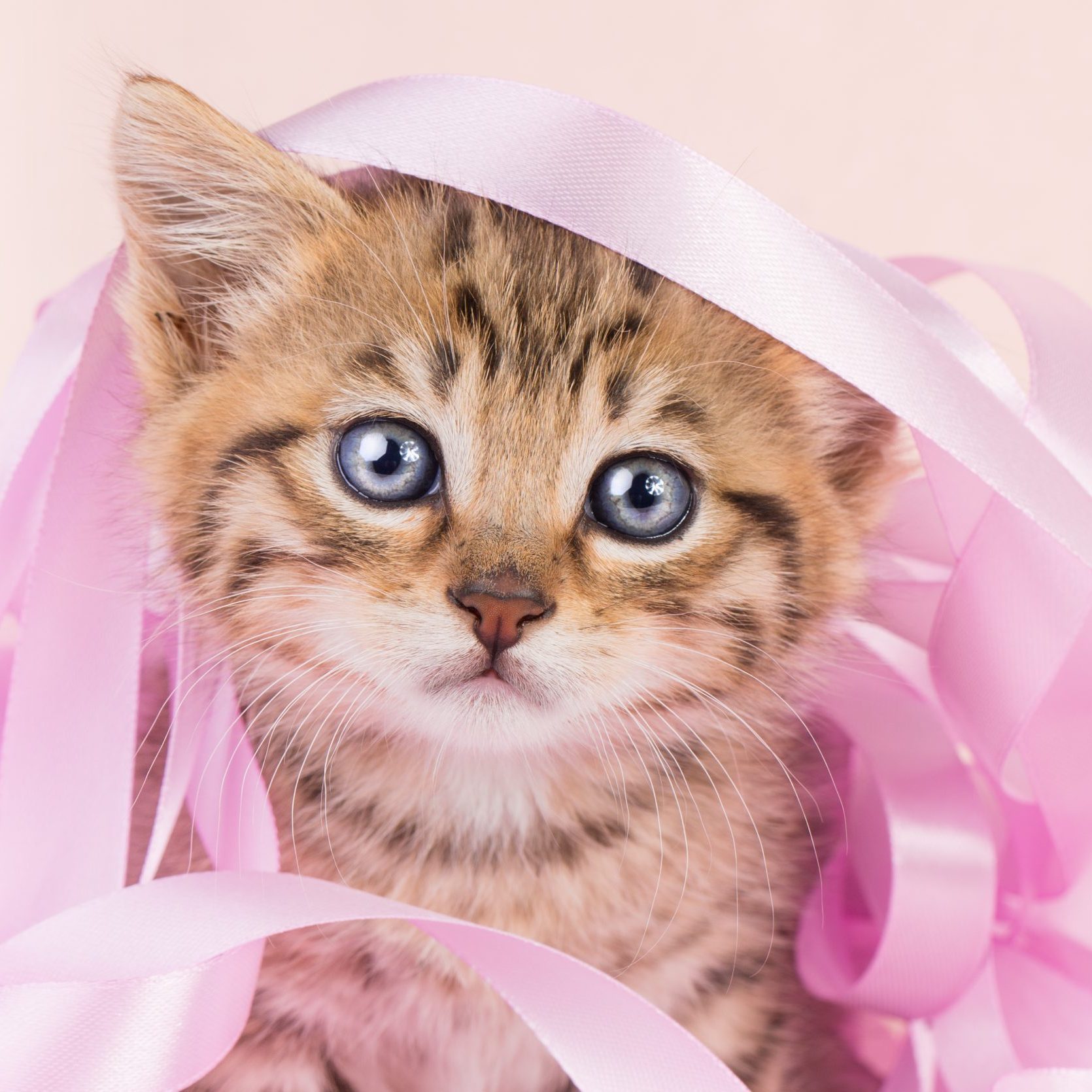 Photo by: Alessandro Manco