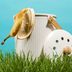 How to Make Compost at Home to Enrich Your Garden