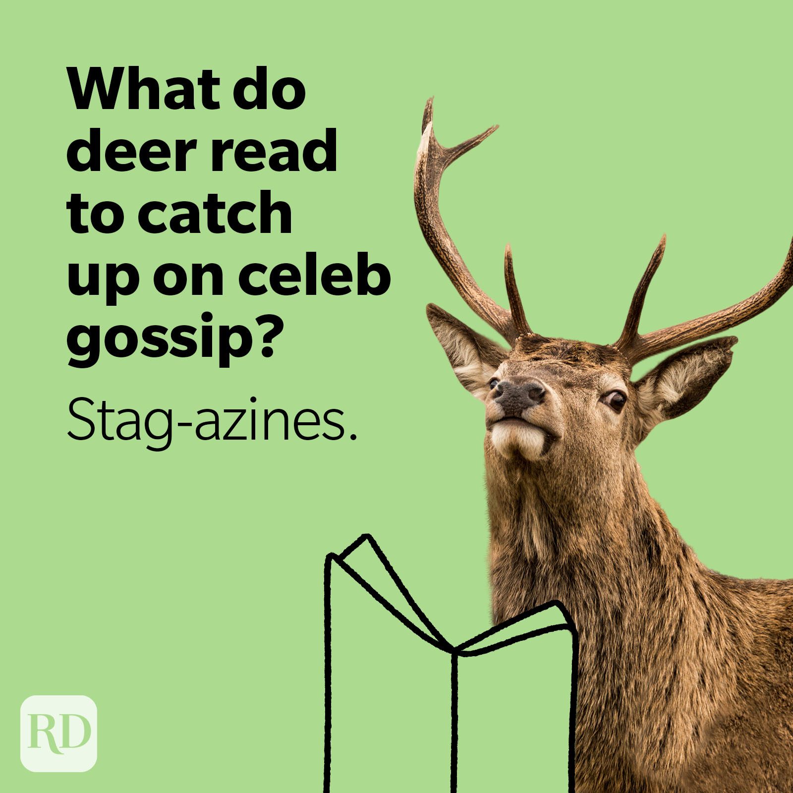Stag reading magazine