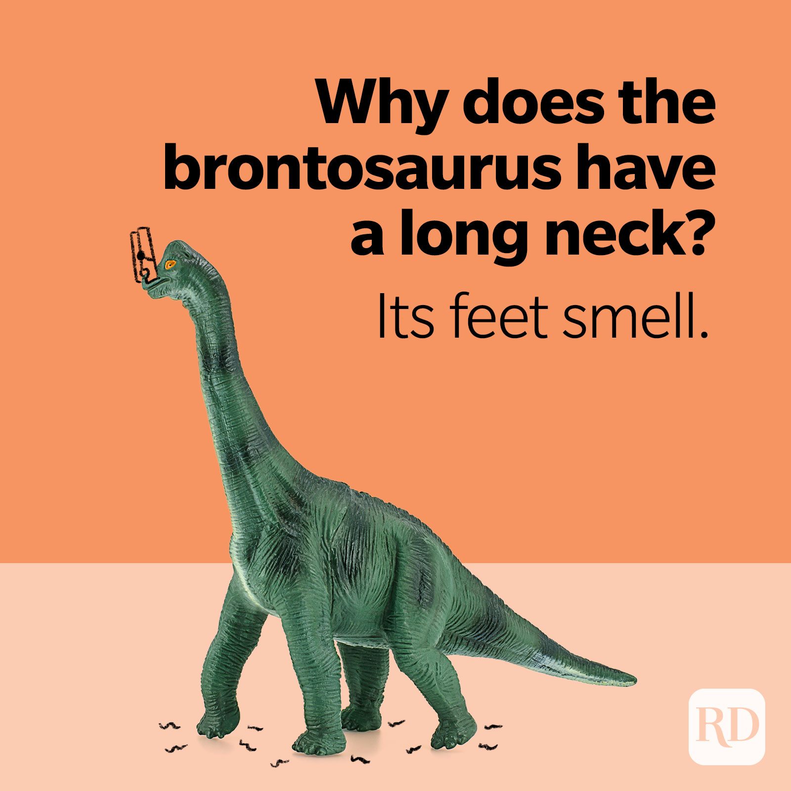 Dinosaur Jokes Brontosaurus Long Neck Feet Smell