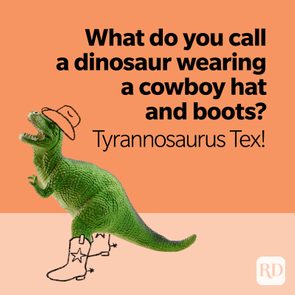 Dinosaur wears a cowboy hat and boots, standing against an orange background. Text: 
