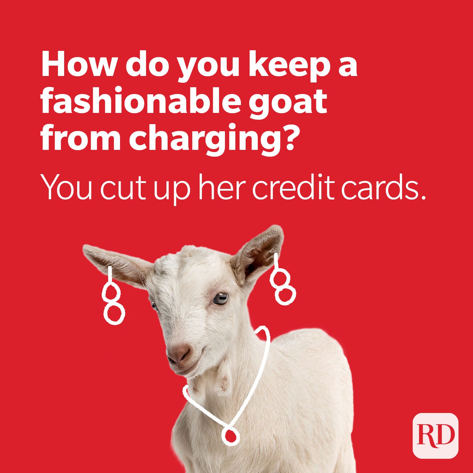 Goat wearing earrings and necklace