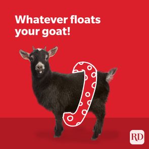 Goat wearing a drawn float, standing against a red background. Bold text above reads, 
