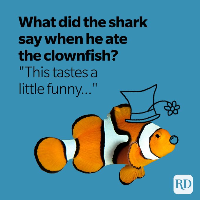 Clownfish wearing clown hat and nose