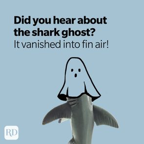 Shark adorned with ghost sheet humorously blends in blue background. Text: 