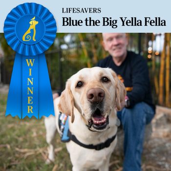 Dog stands excitedly; wears vest; man sits blurred in the background; blue ribbon labeled "Winner." Text reads: "LIFESAVERS Blue the Big Yella Fella."