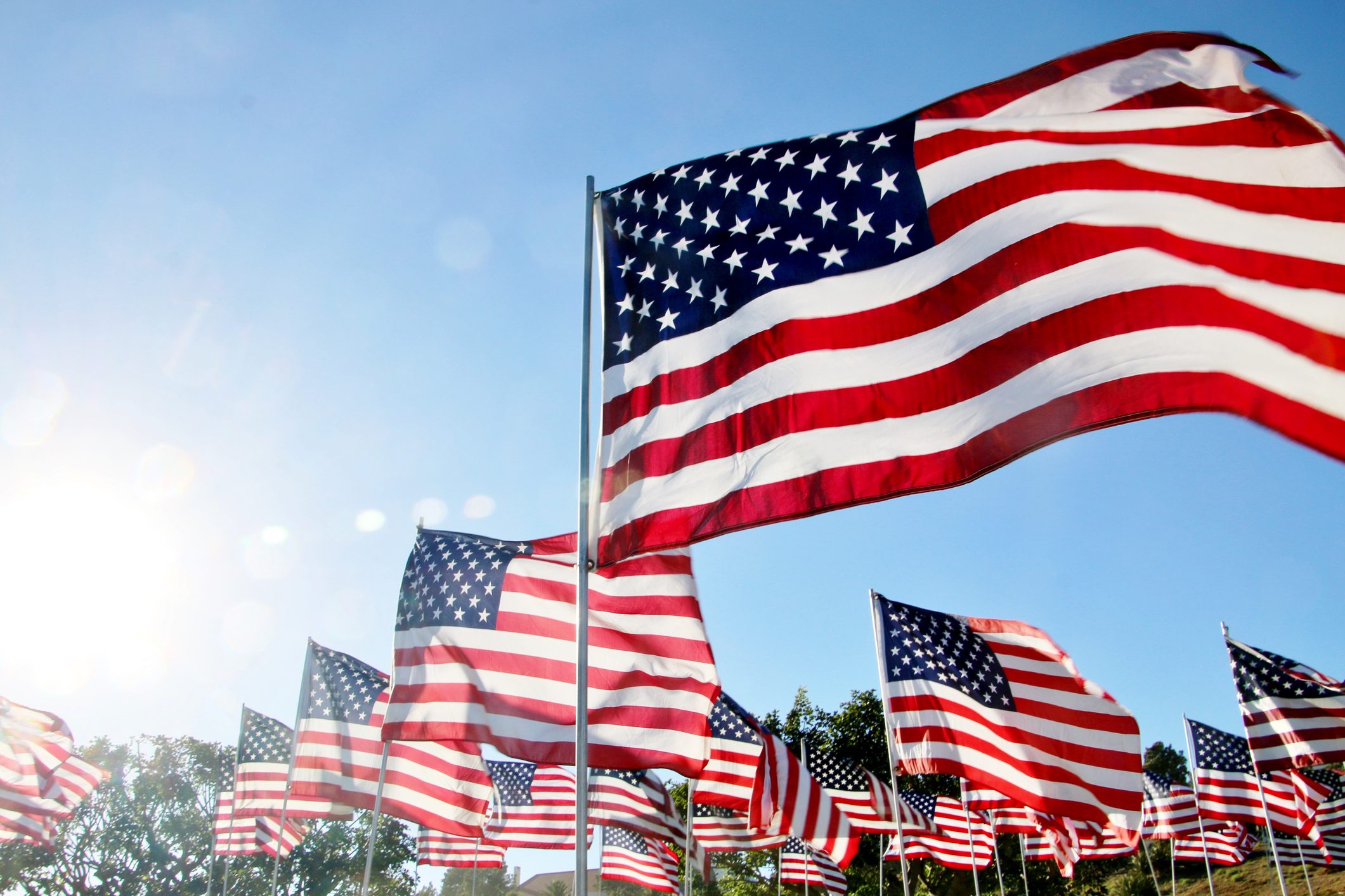 Flags wave gently in the wind against a clear blue sky, with sunlight and greenery in the background.