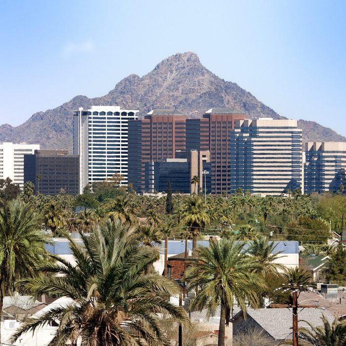 Skyscrapers stand against a mountain backdrop, surrounded by palm trees in an urban environment.