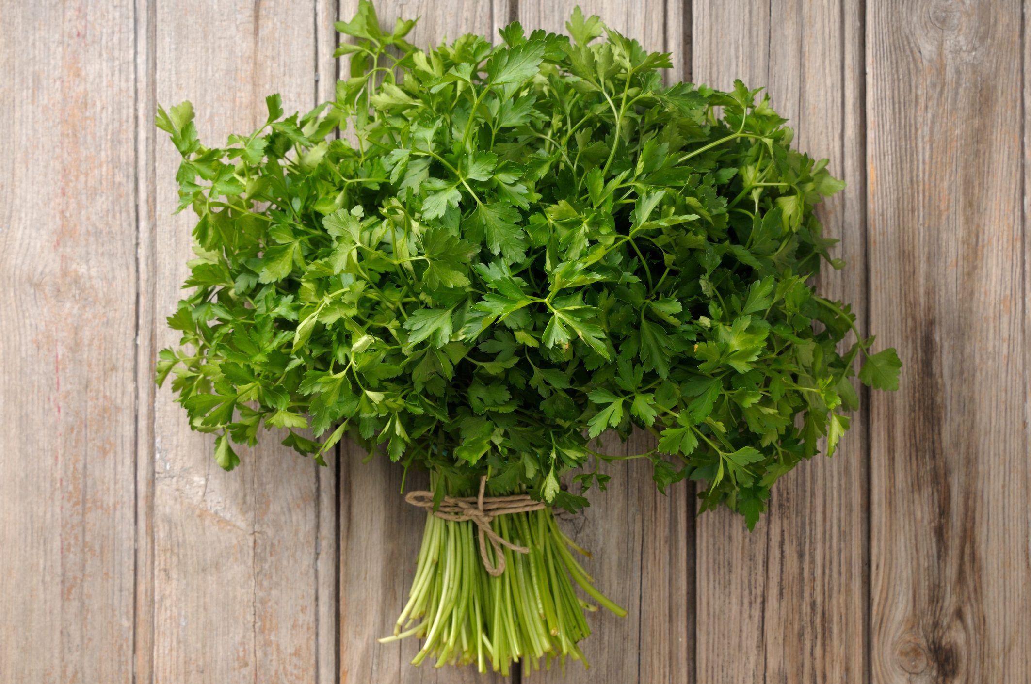 parsley