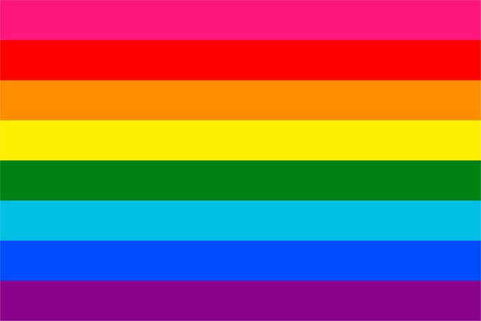 Gilbert Baker Pride Flag