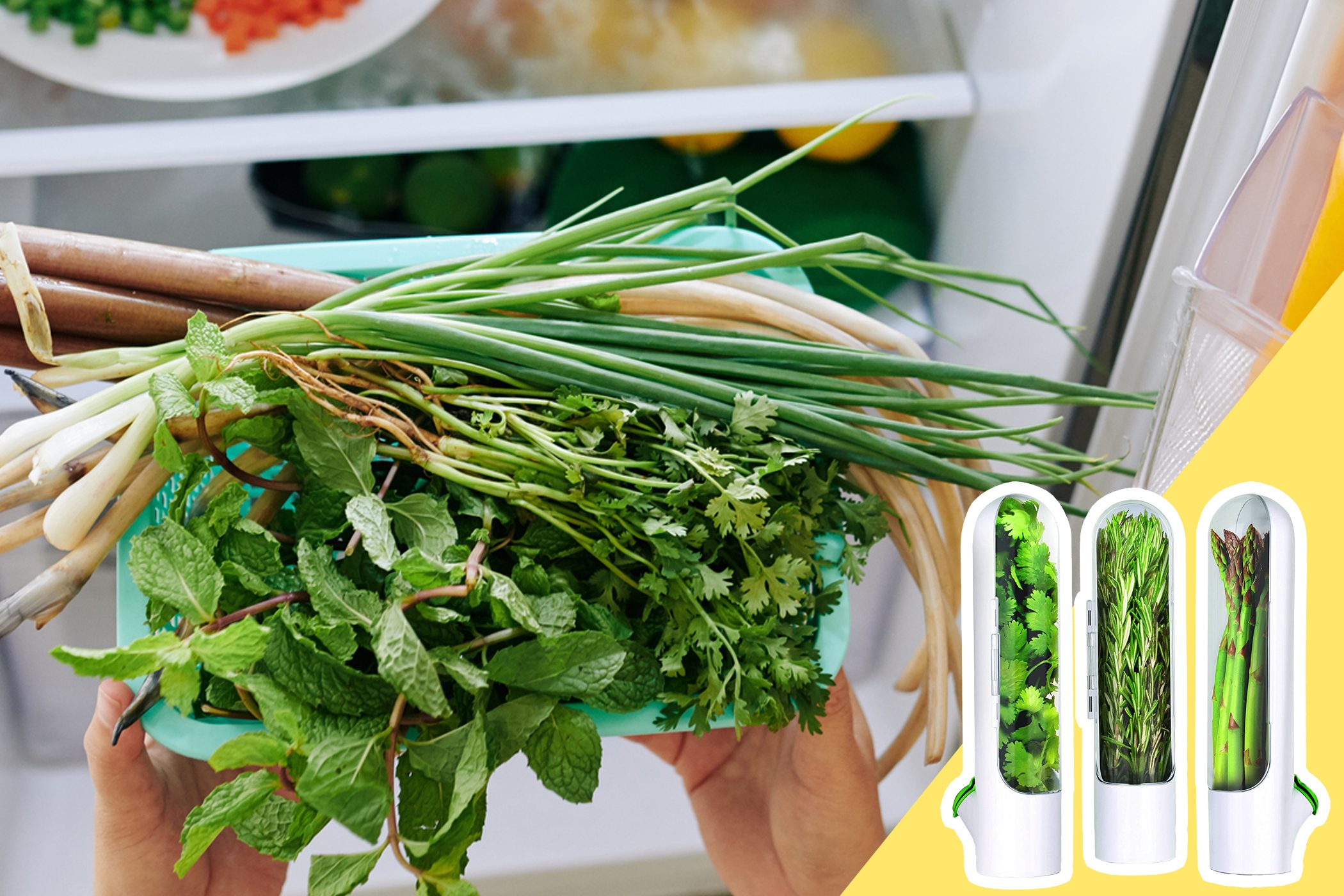 Hands hold herbs in a basket near a fridge; three containers containing cilantro, rosemary, and asparagus are shown on a yellow background.