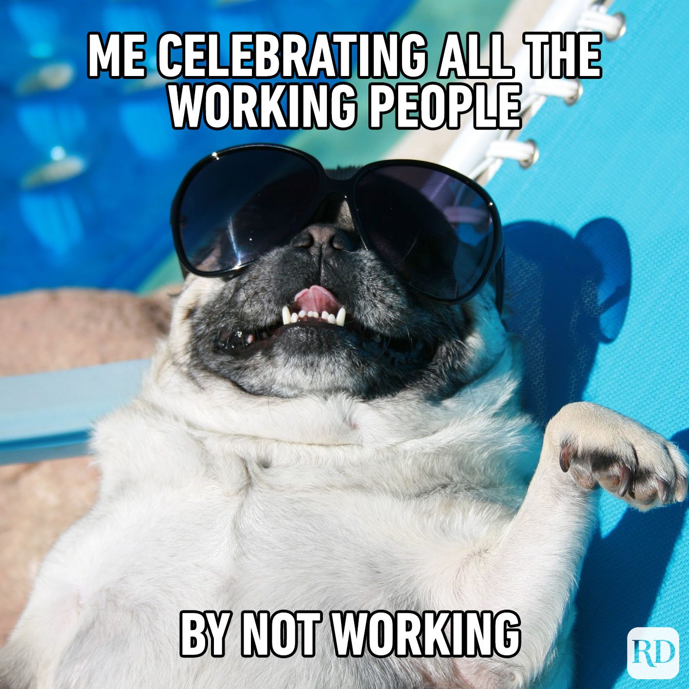 Pug wearing sunglasses relaxes on a lounge chair by the pool. Text: "Me celebrating all the working people by not working."