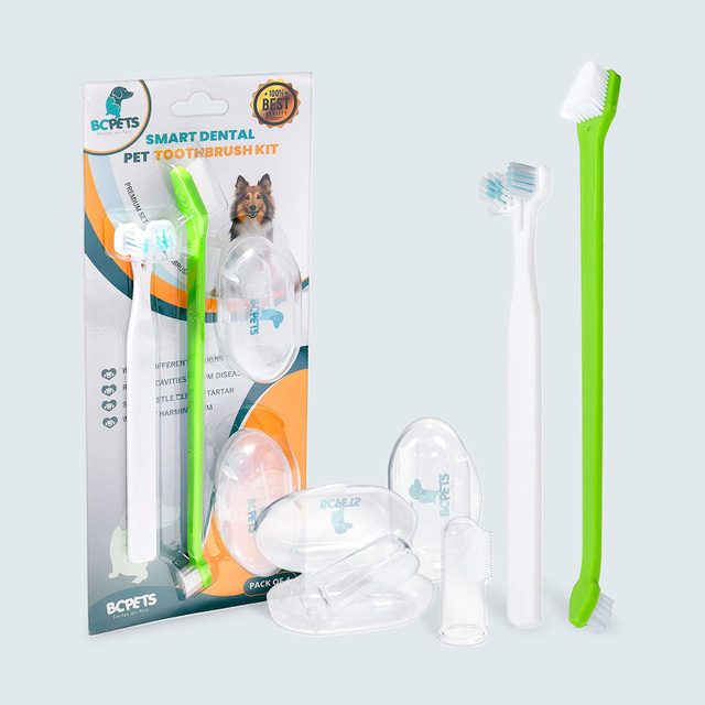 Dental toothbrushes displayed with packaging in a pet care context, featuring finger brushes. Text includes 