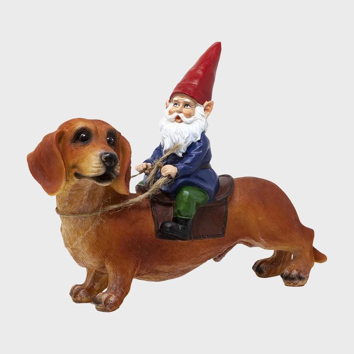 A garden gnome rides a dachshund-shaped statue, holding reins, with a plain background.