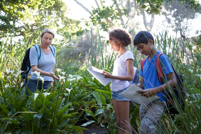Children on a school field trip in nature