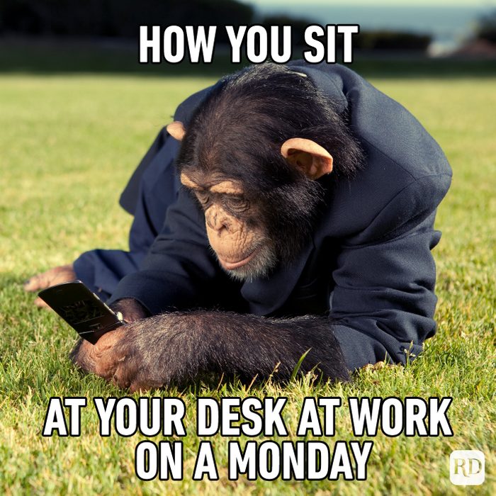 How You Sit At Your Desk At Work On A Monday