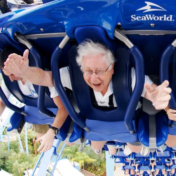 Person rides a roller coaster, smiling with arms raised, under a blue seat with "SeaWorld" text, surrounded by green foliage and amusement park environment.