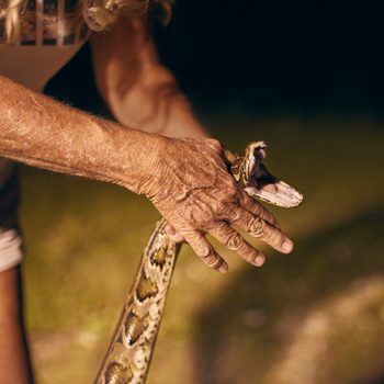 Hands hold a snake with mouth open, positioned at arm's length, in an outdoor nighttime setting.