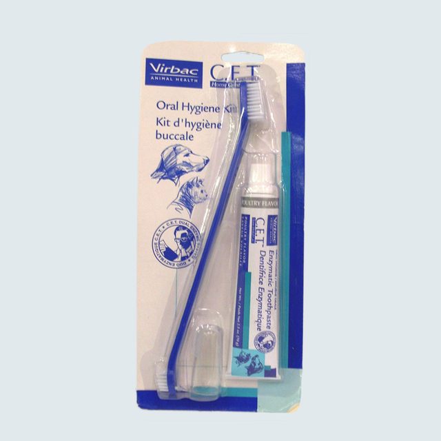 Toothbrush and toothpaste are packaged together, featuring 