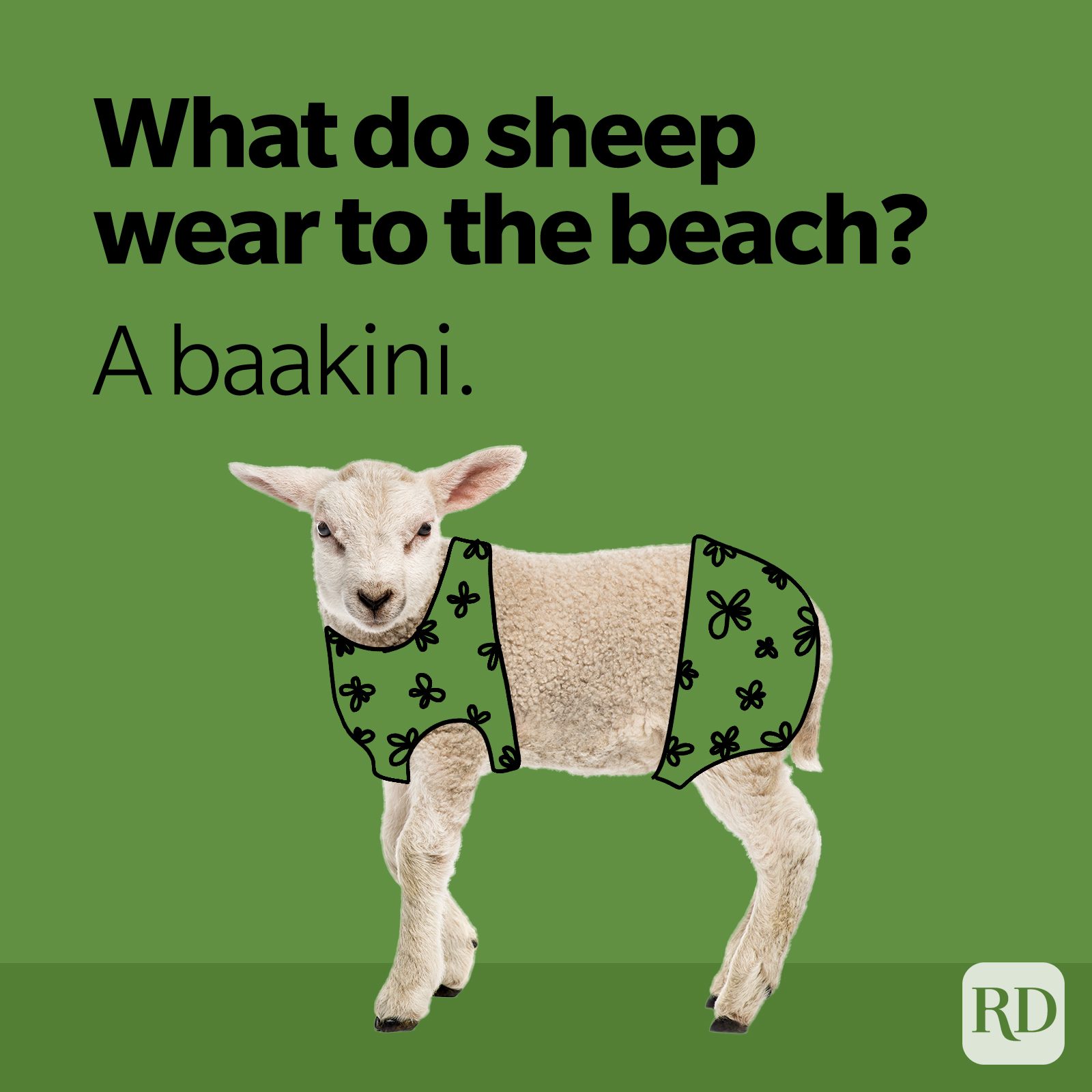36 Sheep Puns That Are Perfect for Ewe