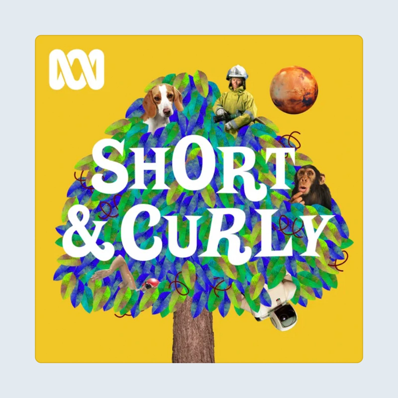 Short And Curly Podcast