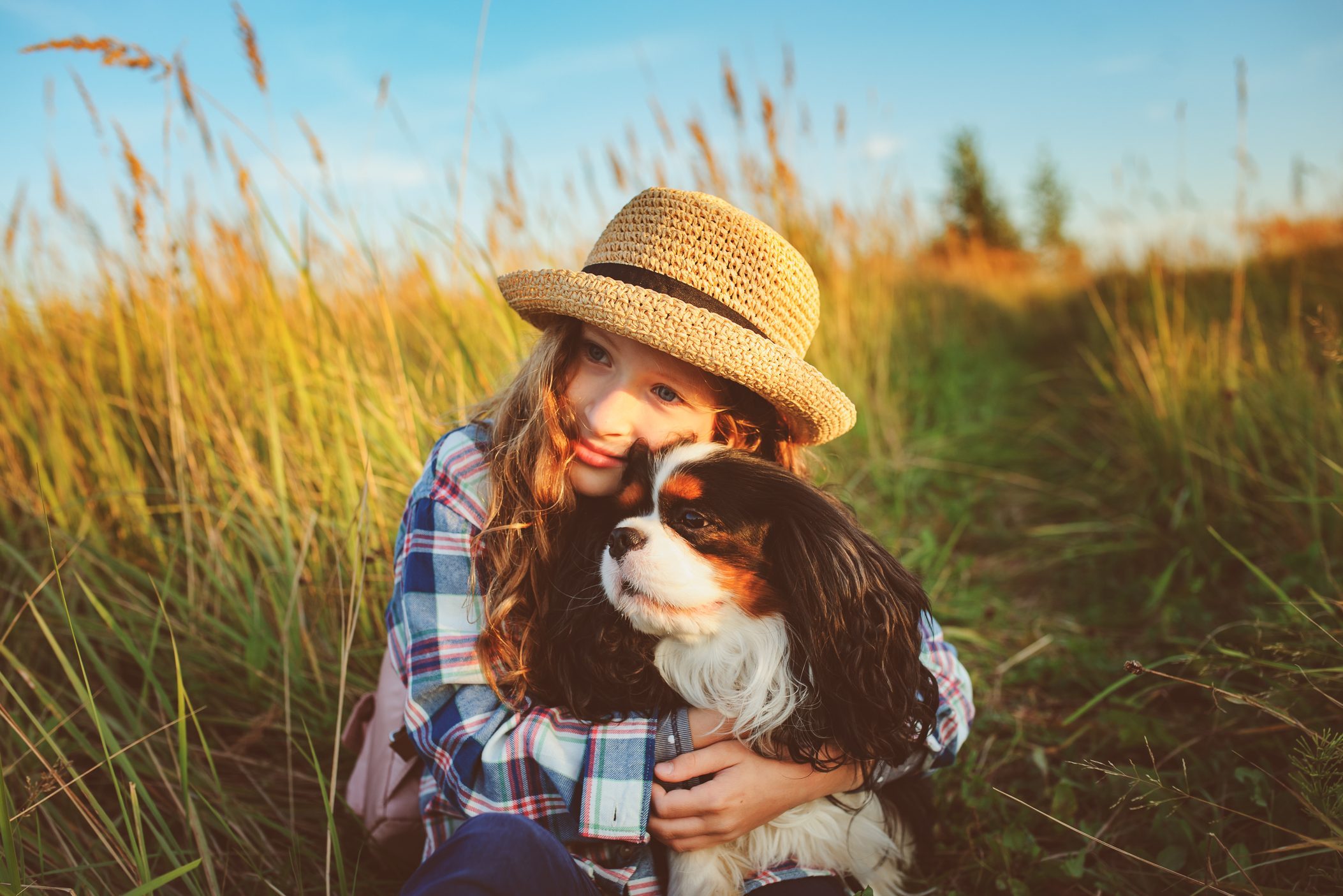 A girl wearing a straw hat hugs a tri-colored dog in a field of tall grass bathed in warm sunlight.