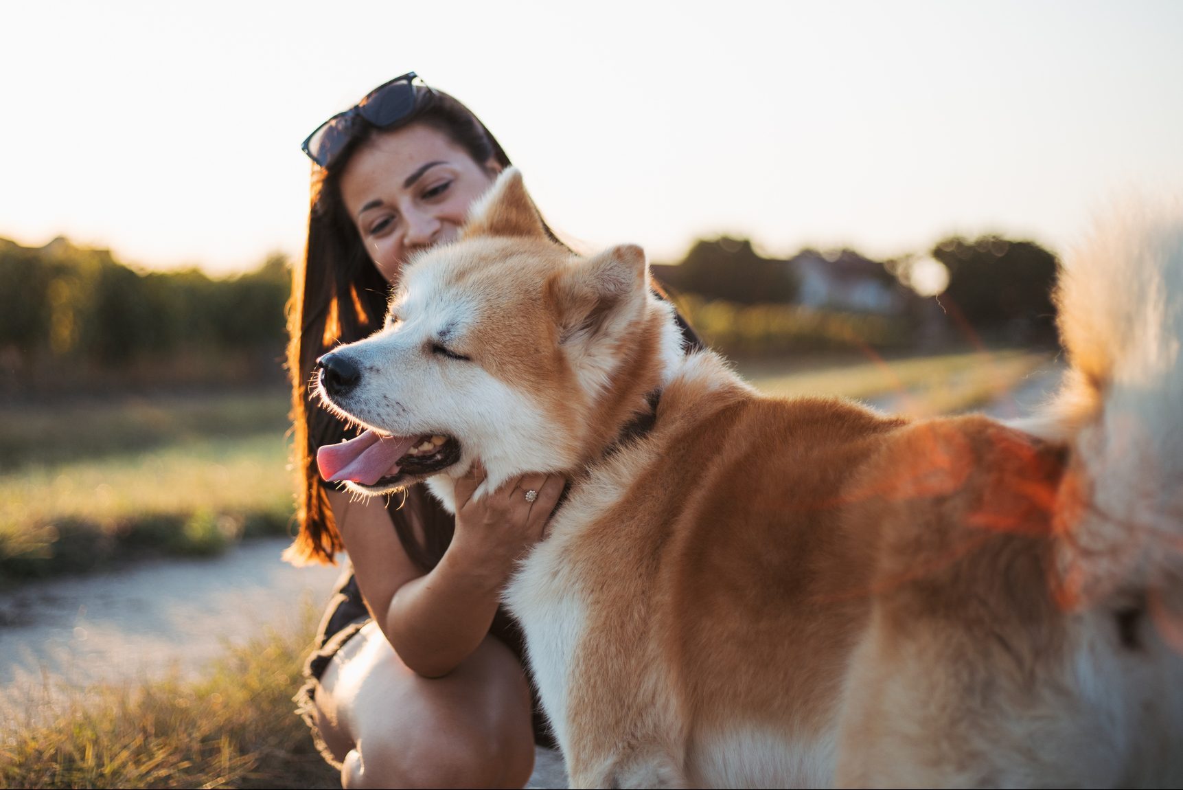young girl with her akita dog