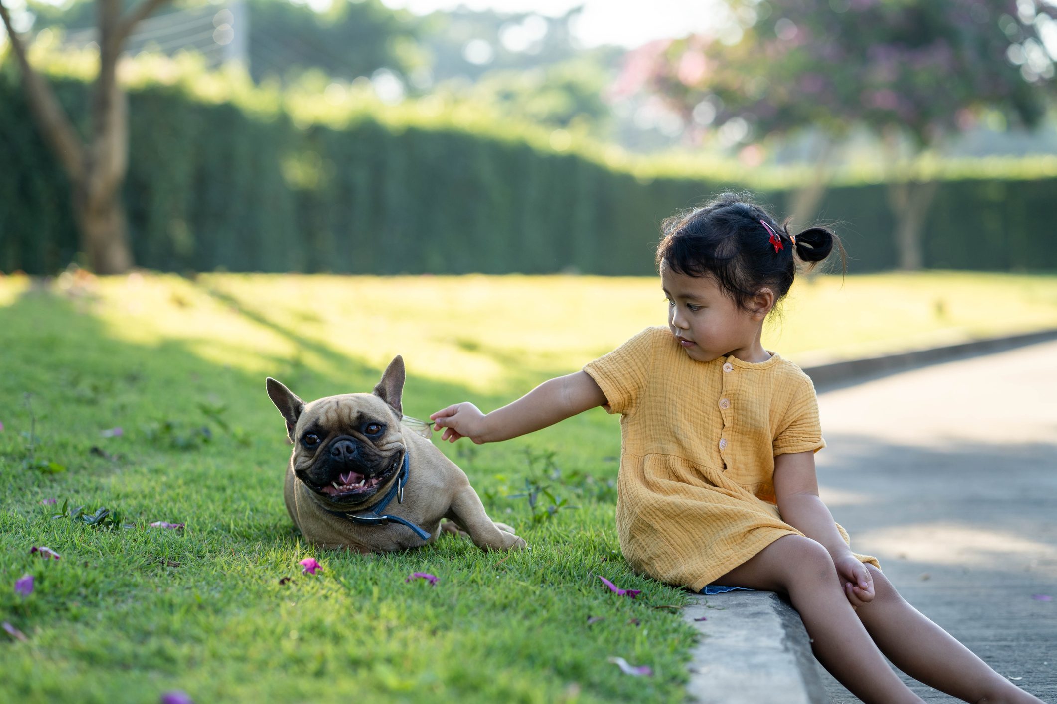Girl sits on grass, gently touches a French bulldog lying beside her, in a sunny park setting.