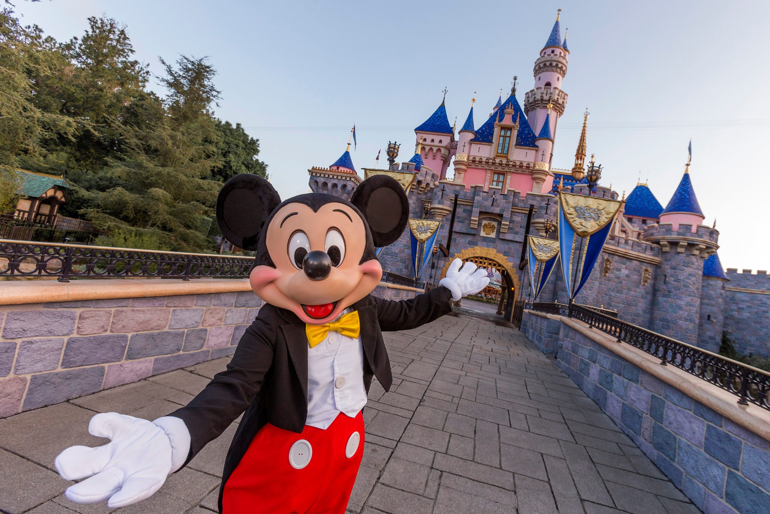 A person in a Mickey Mouse costume gestures happily in front of a fairytale-style castle with blue rooftops, surrounded by trees and flags.