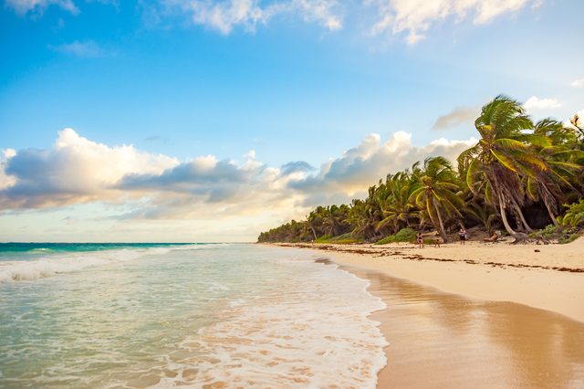 Waves gently wash onto a sandy beach, bordered by lush palm trees under a bright blue sky with scattered clouds.