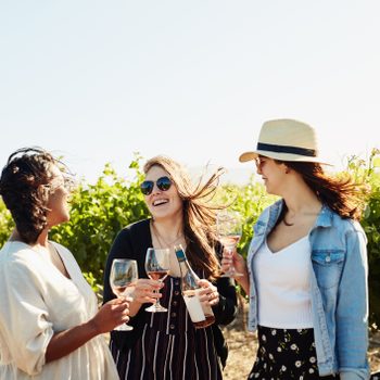Three people hold wine glasses and smile, standing in a sunny vineyard.
