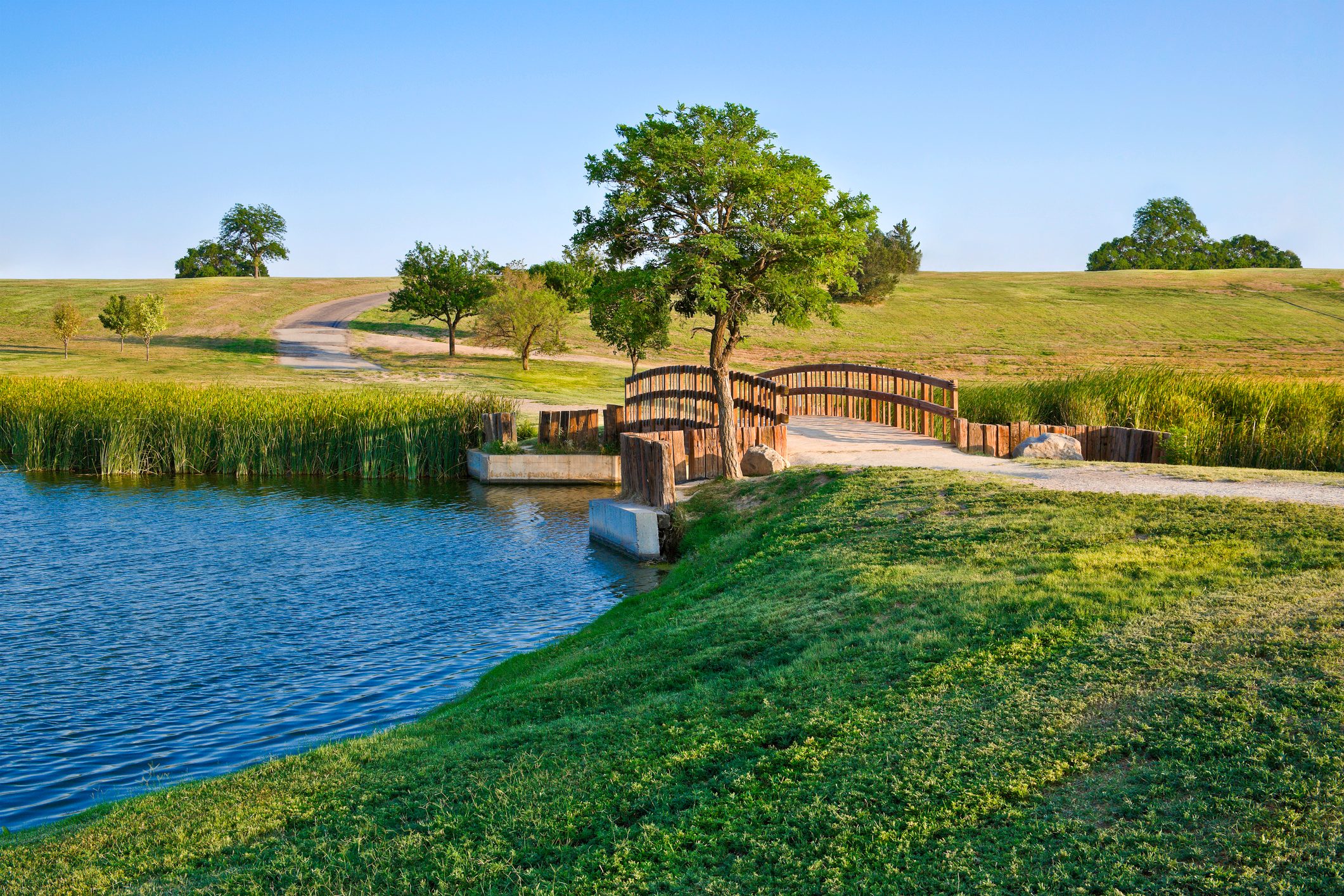 summer footbridge and lake
