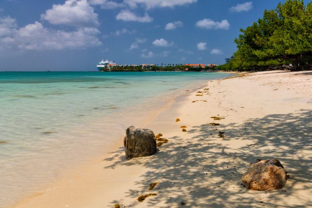 Rocks sit on a sandy beach; clear water laps gently, with trees shading the shore. A cruise ship is visible on the horizon under blue skies.