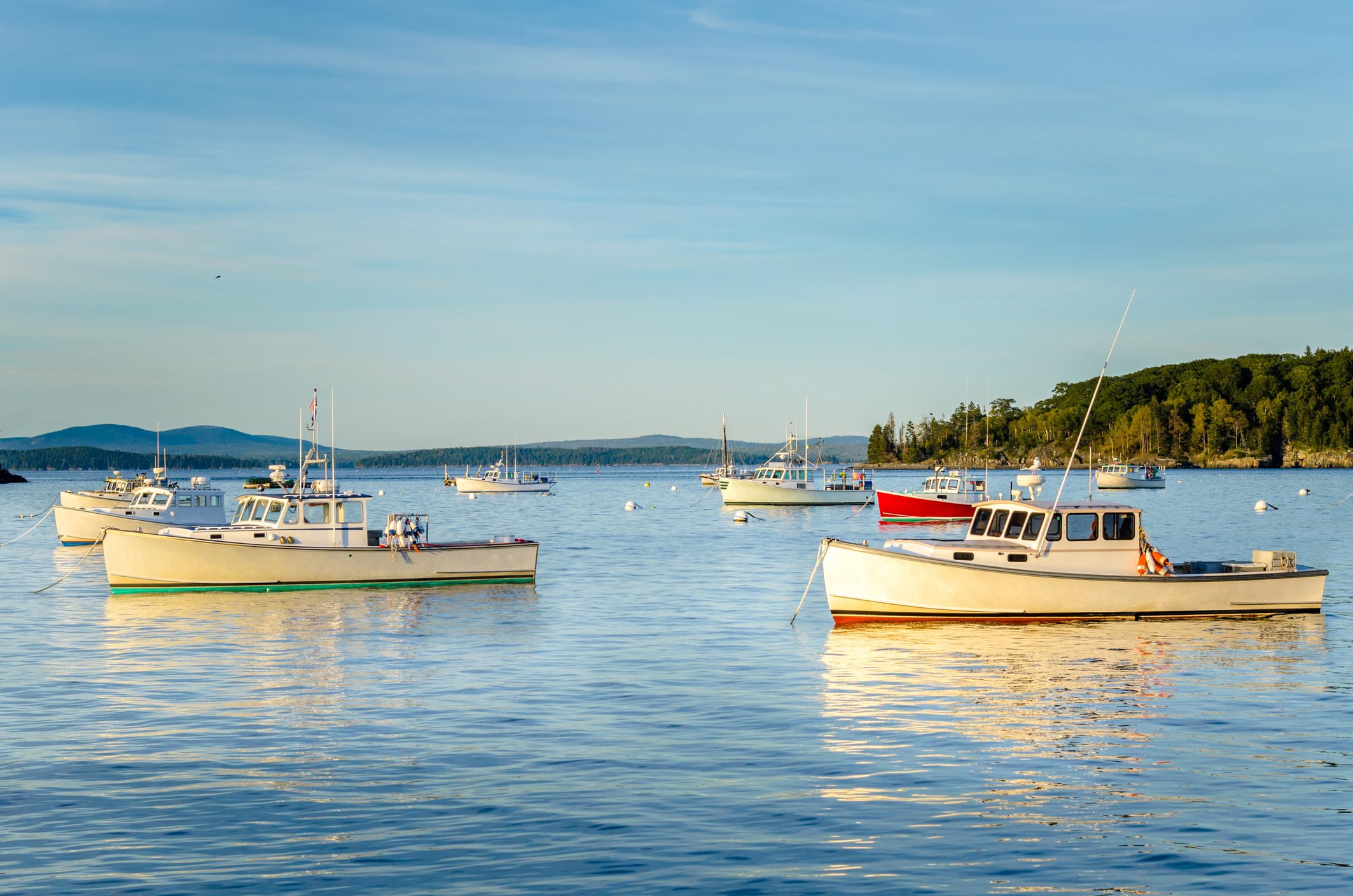 Fishing Boats Anchored in Calm Waters at Sunset