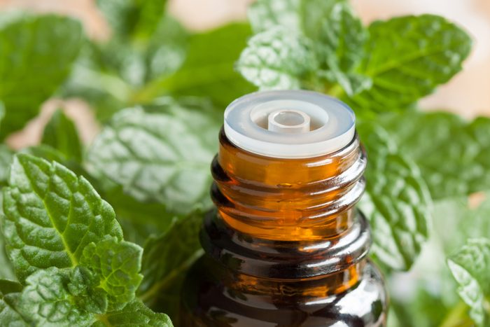 Peppermint essential oil