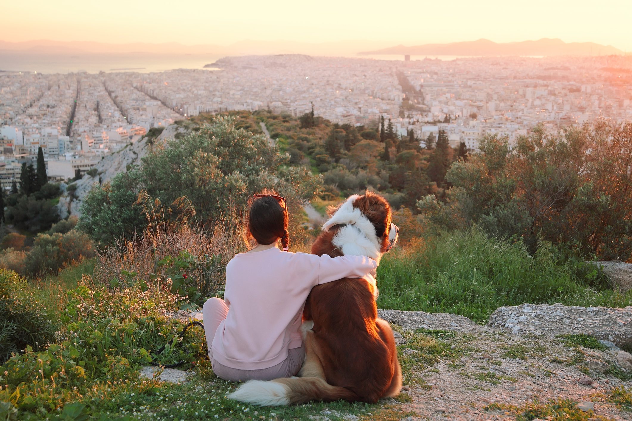 15 Rugged Mountain Dog Breeds That Love Adventures
