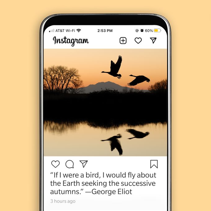 88. “If I were a bird, I would fly about the Earth seeking the successive autumns." —George Eliot
