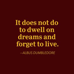 Yellow text quotes Albus Dumbledore: 
