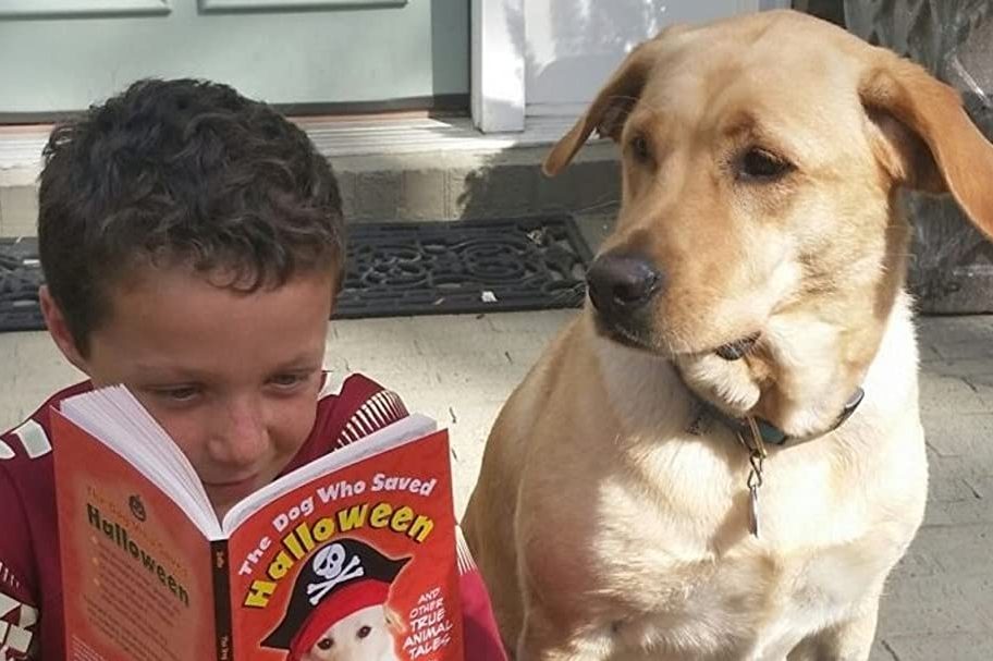 The Dog Who Saved Halloween Ecomm Via Amazon.com