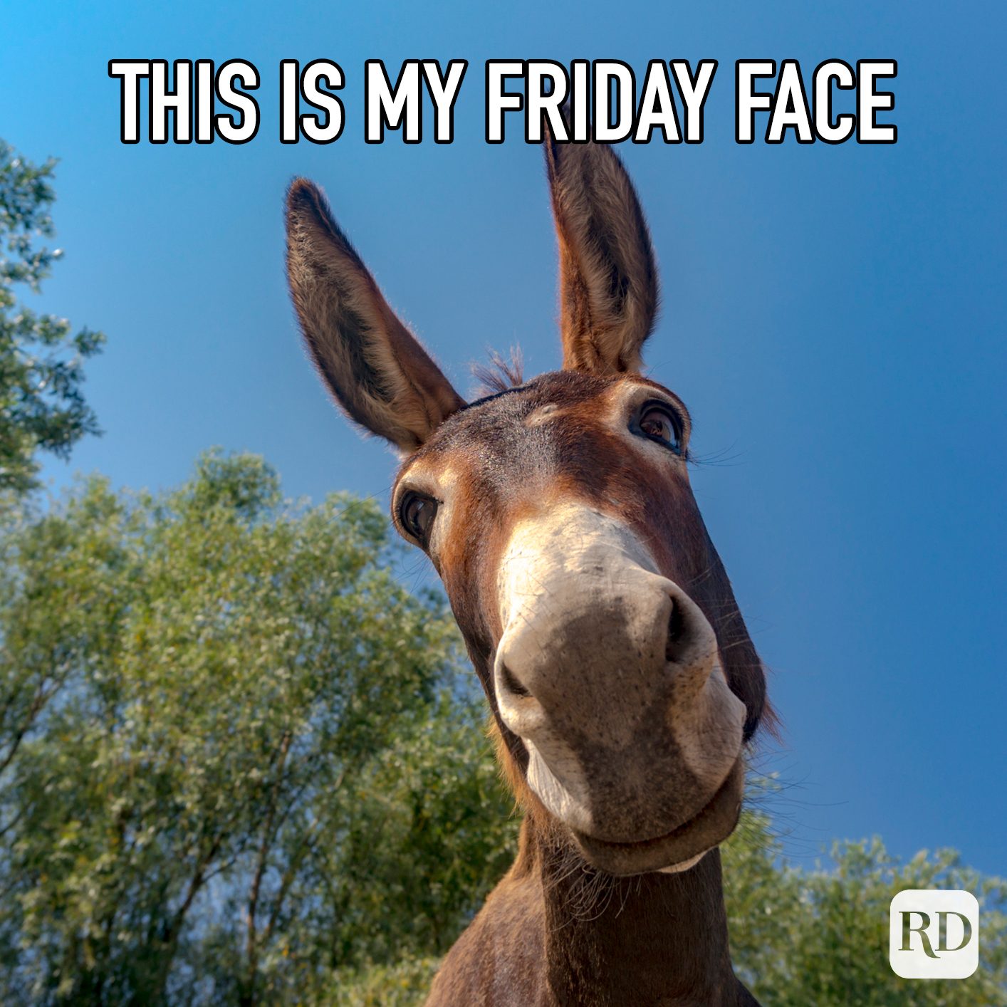 This Is My Friday Face