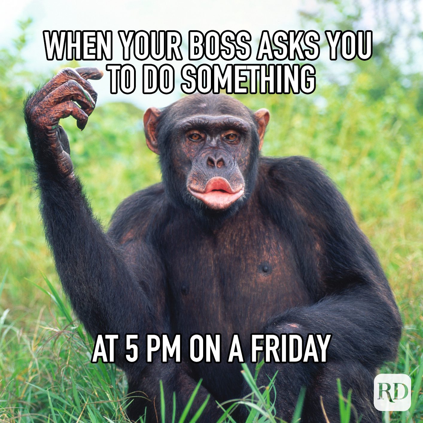 When Your Boss Asks You To Do Something At 5pm On A Friday