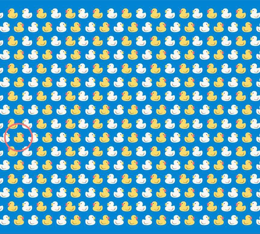 Which Duck Doesnt Belong Answer