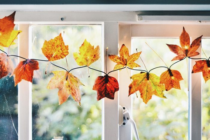 Autumn leaves strung across a window, casting warm hues in sunlight. Blurred greenery visible outside.