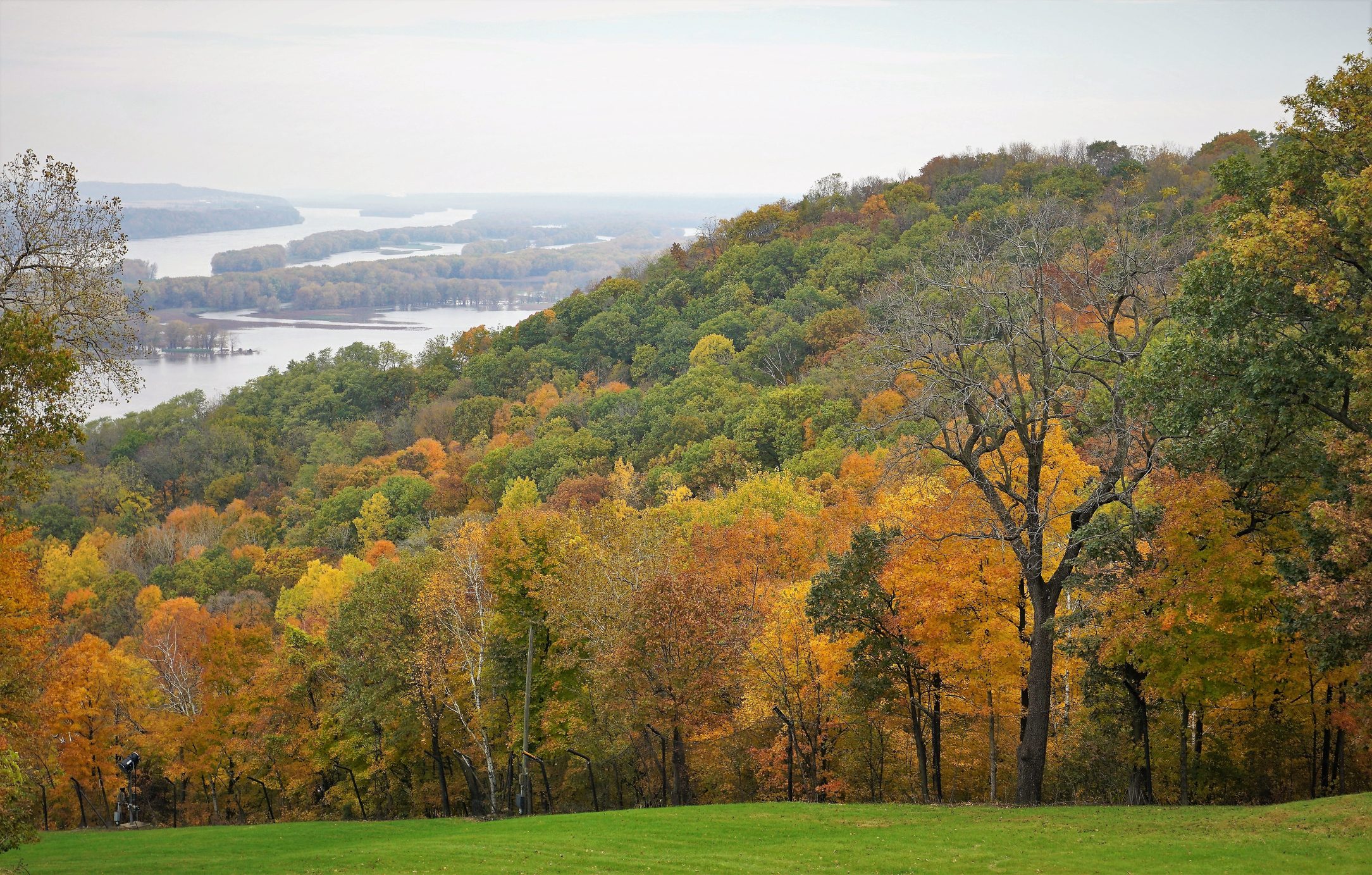 Scenic View Of Trees On Field Against Sky During Autumn, Galena, United States